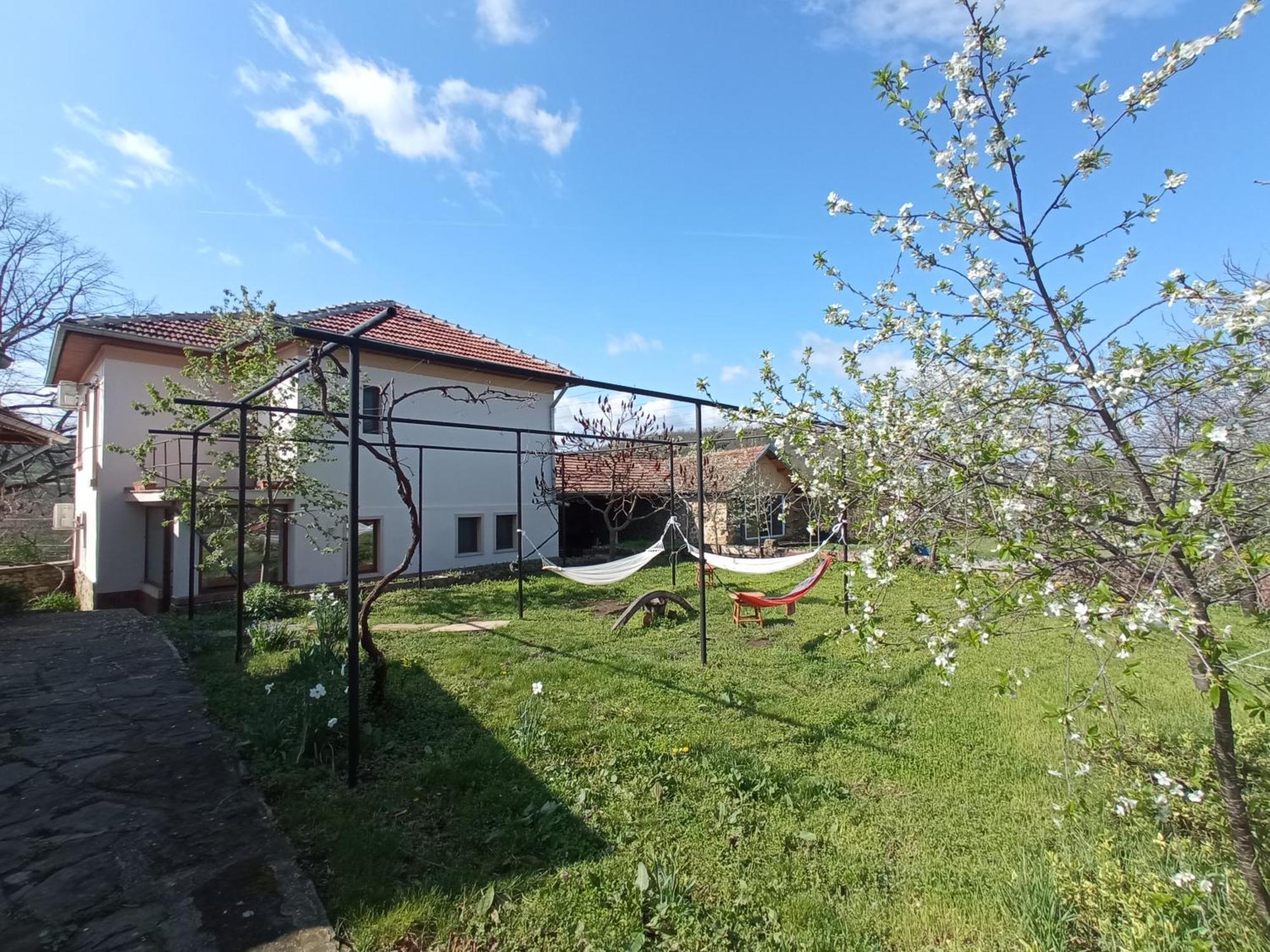 Guest House Art Eco Land Ganchovets Dış mekan fotoğraf
