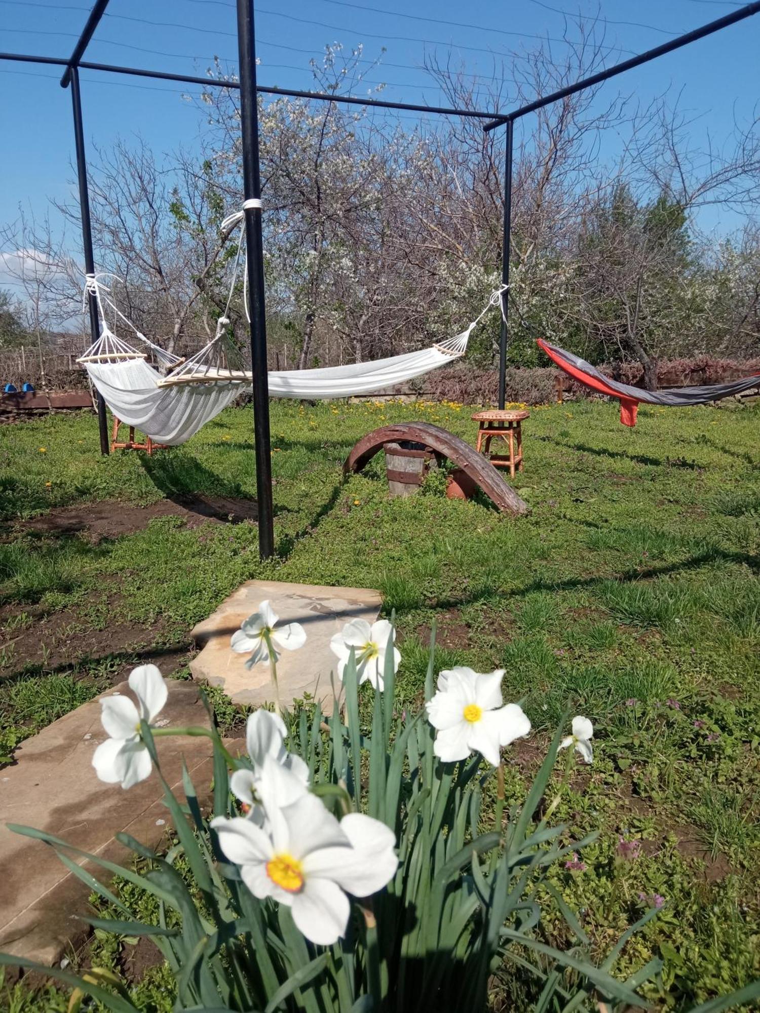 Guest House Art Eco Land Ganchovets Dış mekan fotoğraf
